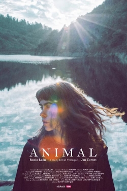 Animal-hd