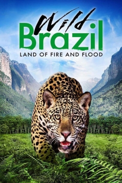Wild Brazil-hd