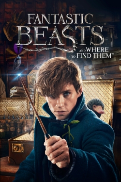 Fantastic Beasts and Where to Find Them-hd