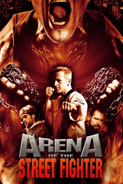 Arena of the Street Fighter-hd