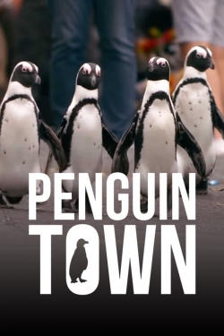 Penguin Town-hd